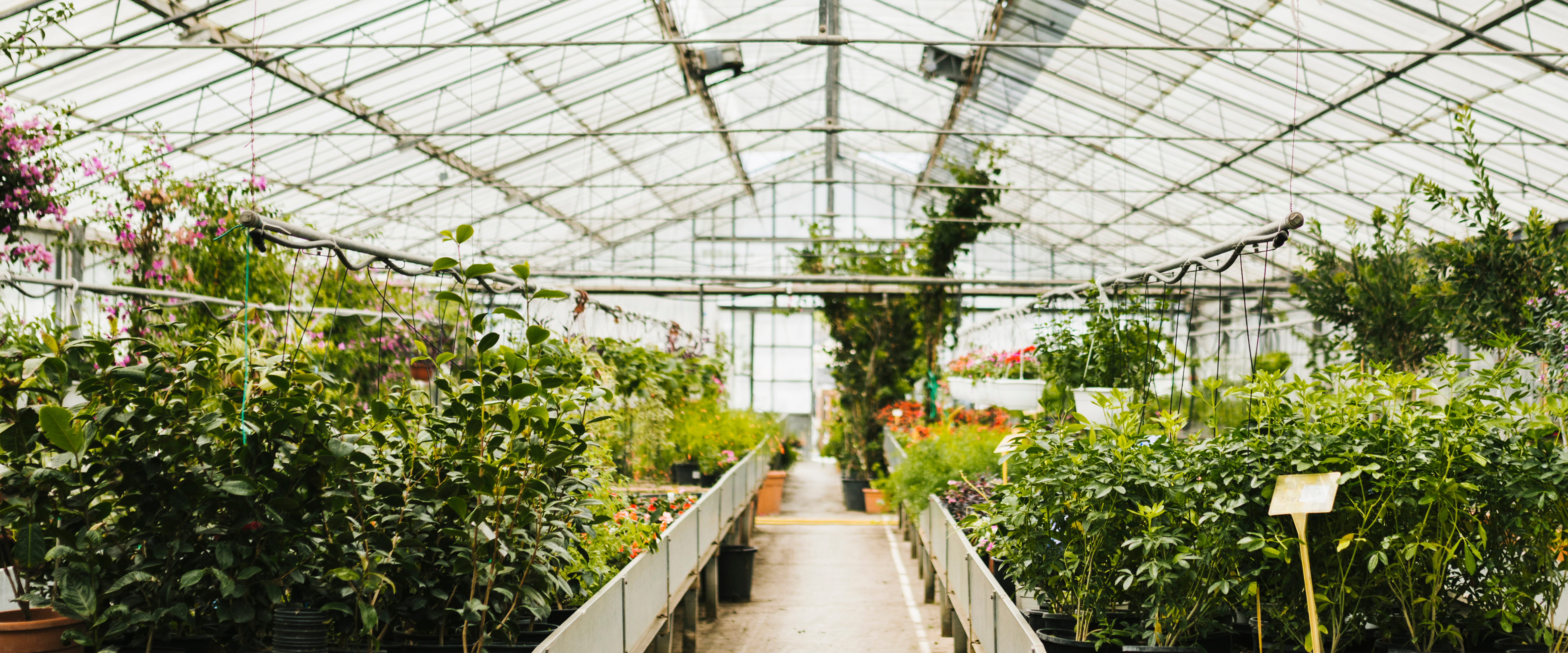 farm image