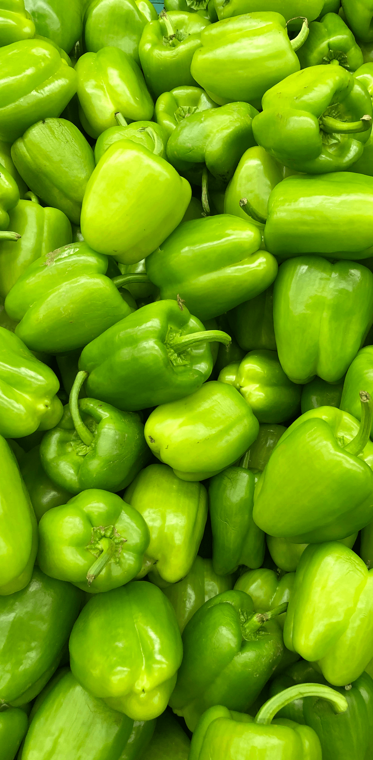 pepper